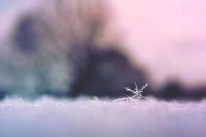 Snowflake in snowy landscape