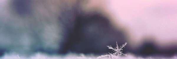 Snowflake in snowy landscape