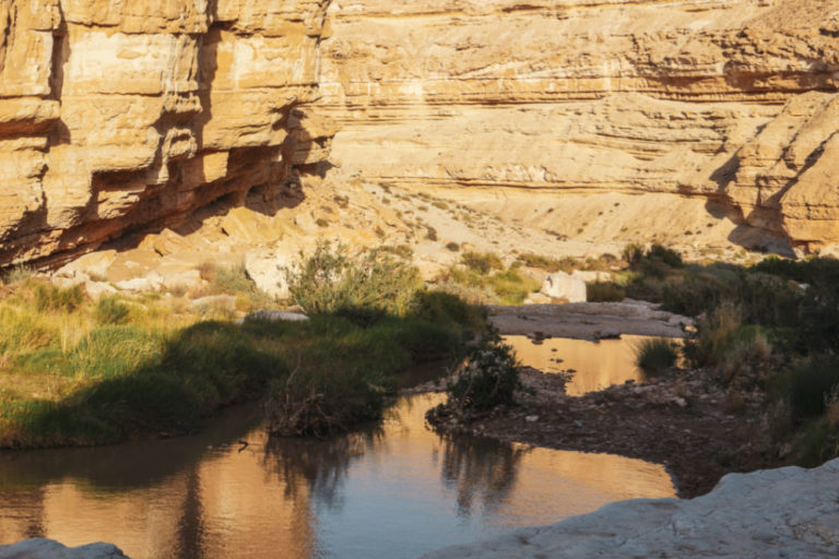 Bearings Online Collegeville Institute